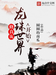 少年风水师梅花圣手